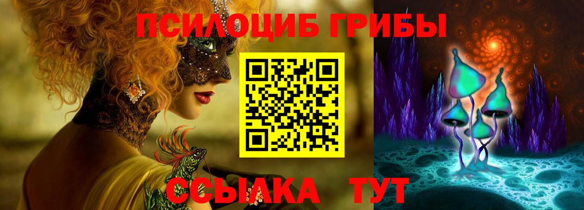 Кызыл  Псилоцибиновые грибы Psilocybine cubensis  Вход с VPN 